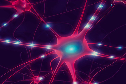 Neural path-ways